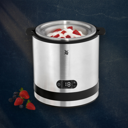 0416450711 Мороженица WMF