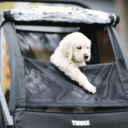 Двухместная велоколяска Thule Courier Двухместная велоколяска Thule Courier