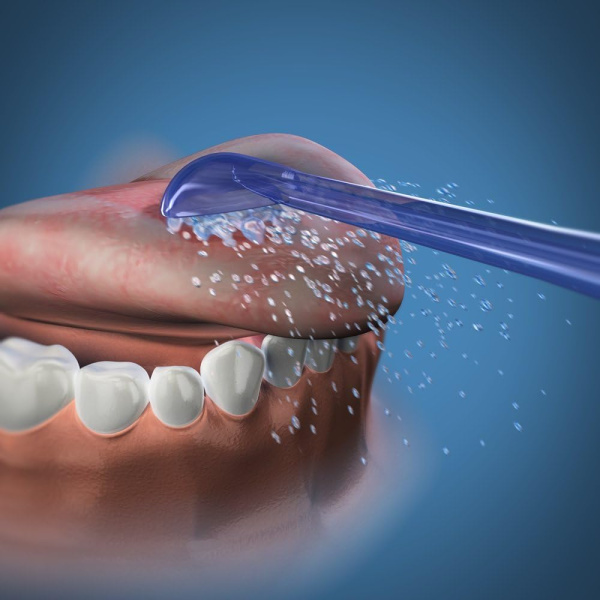 Насадки для чистки языка для ирригаторов WaterPik TC-100E (2 шт)