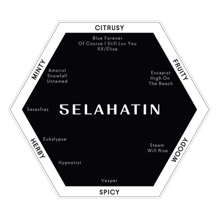 Зубная паста SELAHATIN HYPNOTIST Анис, мед и перечная мята 65 мл