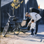 Двухместная велоколяска Thule Courier Двухместная велоколяска Thule Courier