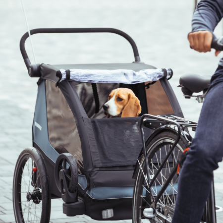 Двухместная велоколяска Thule Courier Двухместная велоколяска Thule Courier