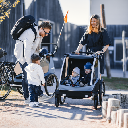 Двухместная велоколяска Thule Courier Двухместная велоколяска Thule Courier