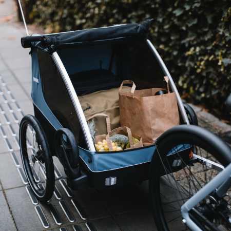 Двухместная велоколяска Thule Courier Двухместная велоколяска Thule Courier